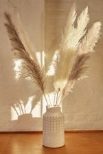 6-STEMS-OF-NATURAL-AND-MINK-PAMPAS-GRASS_1