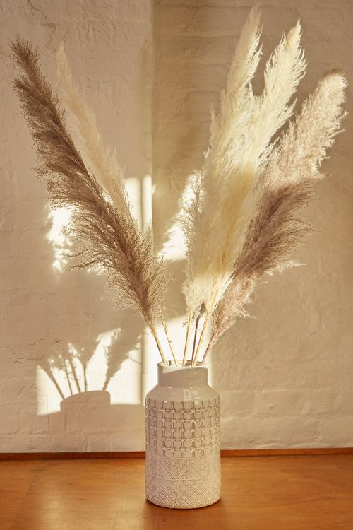 6 Stems Of Natural And Mink Pampas Grass