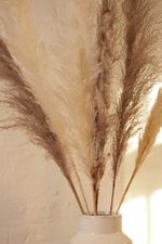 6-STEMS-OF-NATURAL-AND-MINK-PAMPAS-GRASS_2