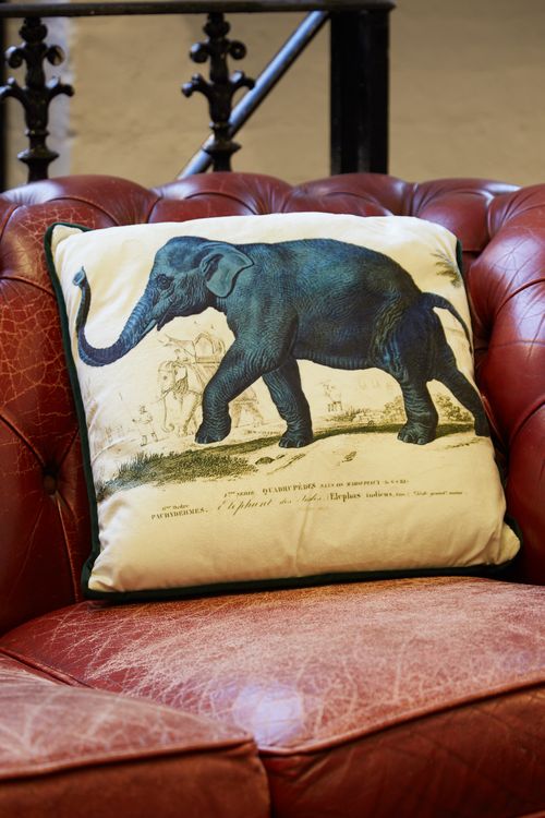Elephant Printed Velvet Cushion