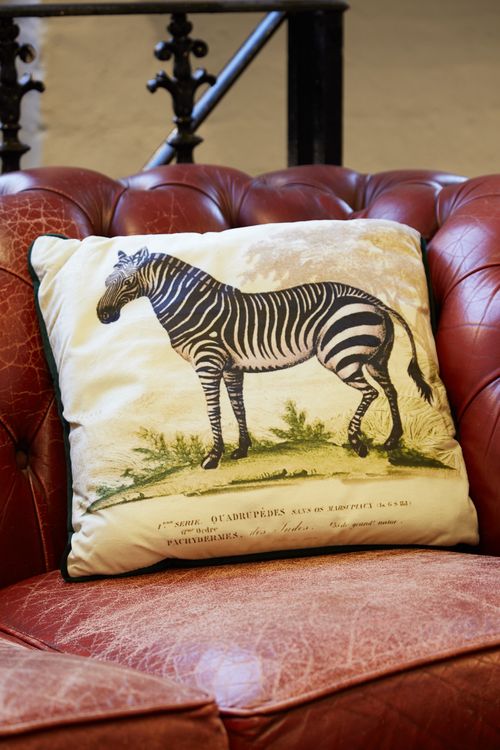 Zebra Printed Velvet Cushion