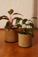 SET-OF-2-WOVEN-CANE-STYLE-PLANTERS_1