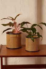 SET-OF-2-WOVEN-CANE-STYLE-PLANTERS_2